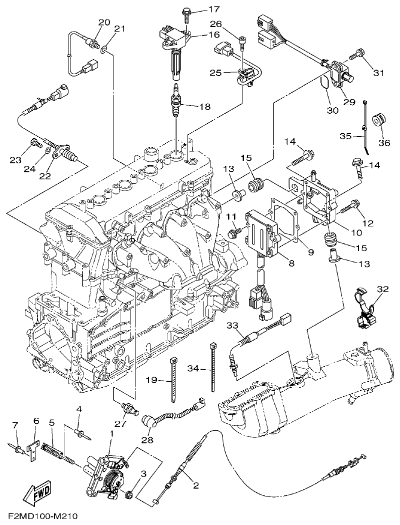 Yamaha F2ML ELECTRICAL 2 parts diagram